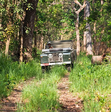 chitwan 